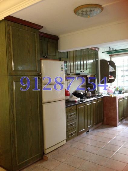 Blk 8 Holland Avenue (Queenstown), HDB 3 Rooms #85285432